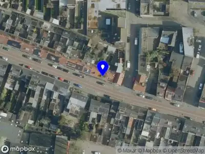 Pinetree Concepts Tilburg