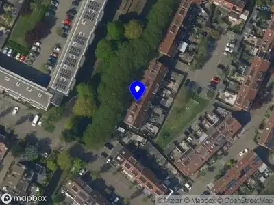 Jacinta's Sparkle and Shine