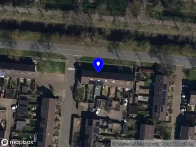 Basketball Vereniging Dribbling