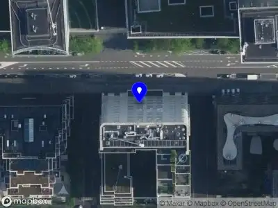 Mopsify Amsterdam