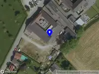 Pure Blossom Coaching