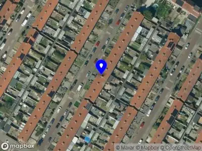 Nieuw bedrijf New Earth Mama