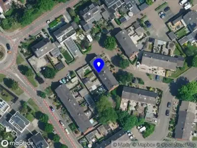 Business Information Interim & Consultancy