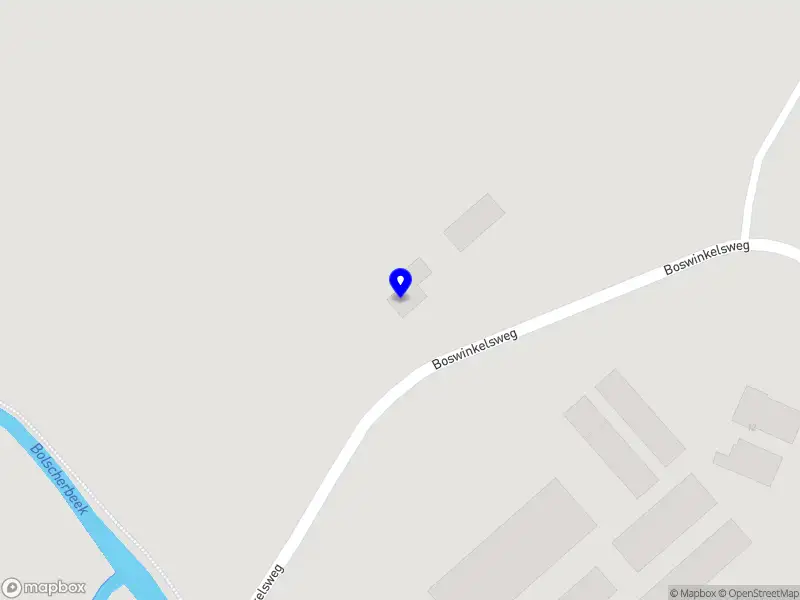 Roland Schuyer Interim Management