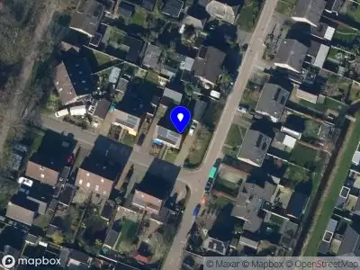 huis-tuin-dieren-artikelen