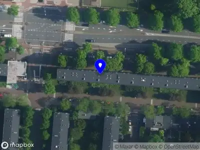 Nieuw bedrijf Jelle's snijbloemen handel