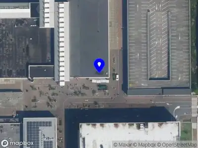 Grietje's Bloemen en Planten