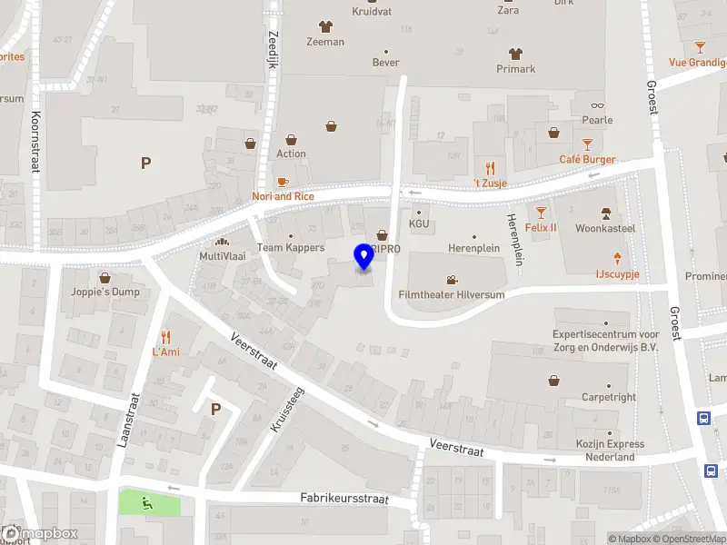 Rafael Ribeiro Muzikant