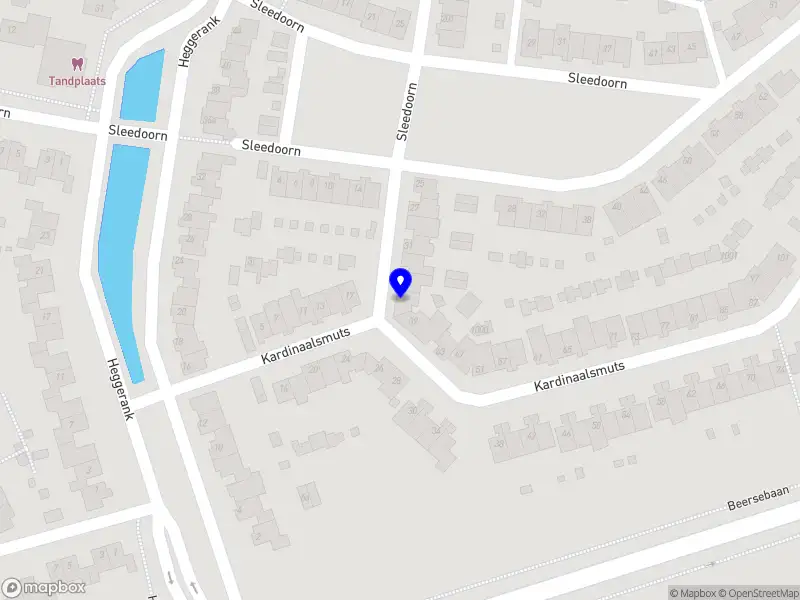 Nieuw bedrijf Amira Adjani Isabella