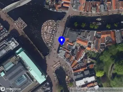 Nieuw bedrijf Biu!Tea Leiden B.V.