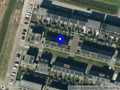 Purple Panther coach