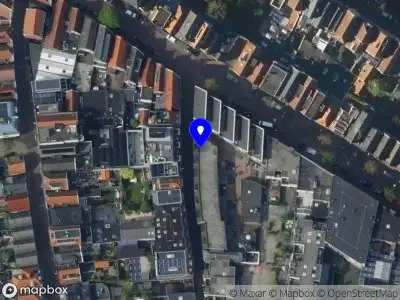Gina van der Wees Alkmaar