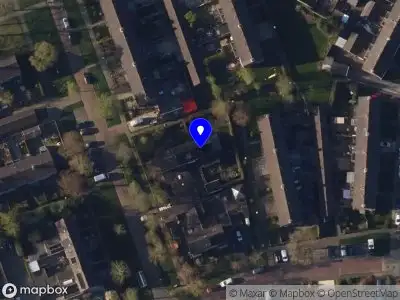 Align by Human Design