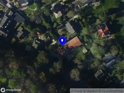 Nieuw bedrijf Dutch Trade Company