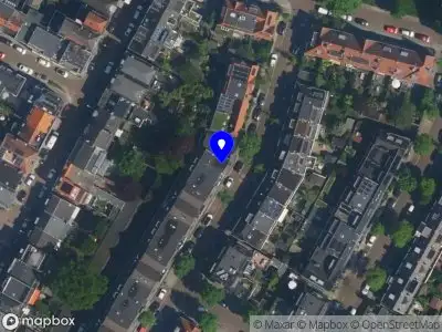 Baharii Haarlem