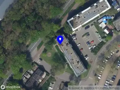 Blackbird Flutes Soest