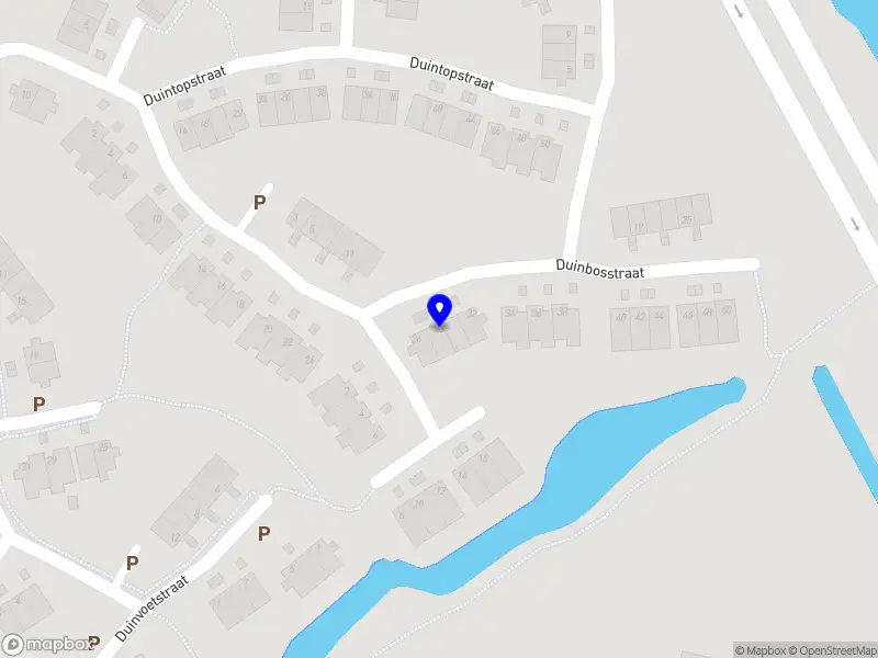 Elite Rapido Services