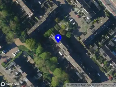 Sweet Orange Being You