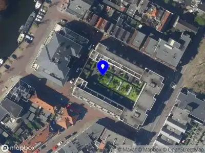 Ellen Digital Performance