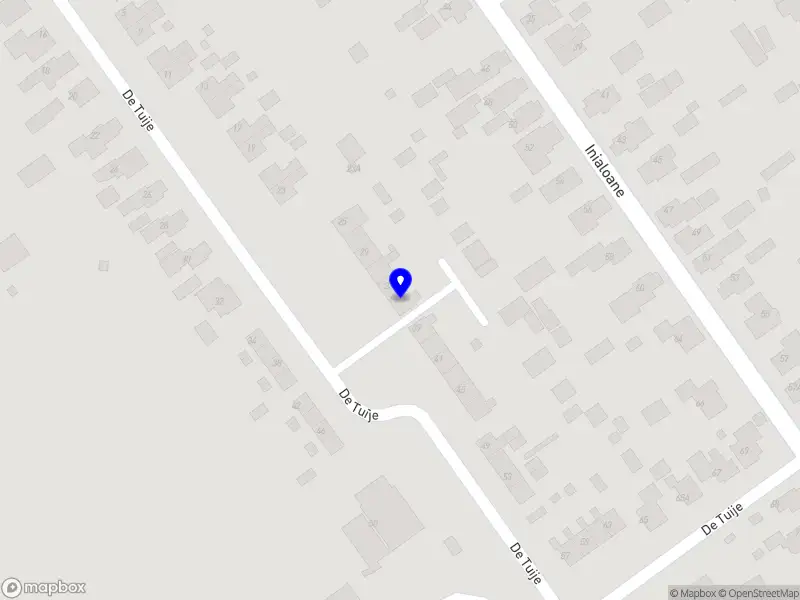 Tjitskeshaarspeldjes Garyp