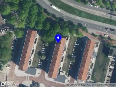 Hoop in bloei Amsterdam