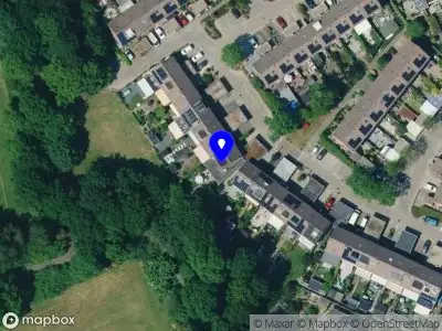 Nieuw bedrijf Little Green Mind