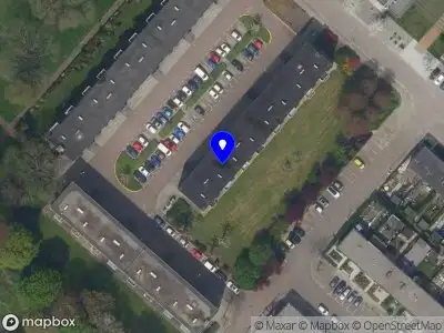 Nieuw bedrijf Blut Youth