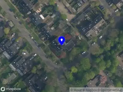 Wildeman Boomverzorging en Tuinen DRIEBERGEN-RIJSENBURG