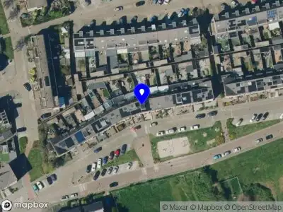 Mavvi Agency Tiel