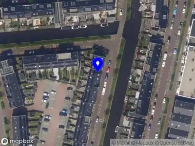 SelenasOnlineInsights