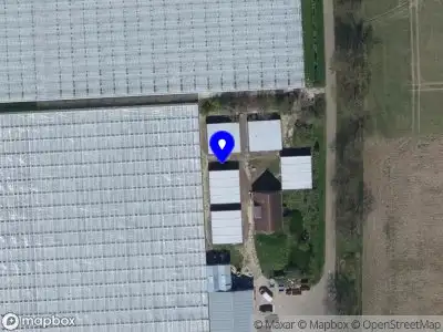 Nieuw bedrijf Oltean