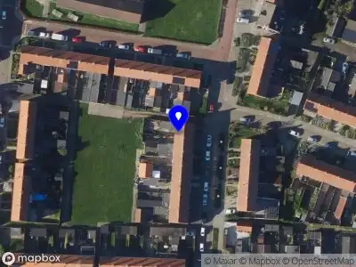 MoniaBraids&HairStyle