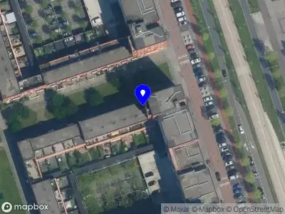 Amoha Consultancy Amsterdam