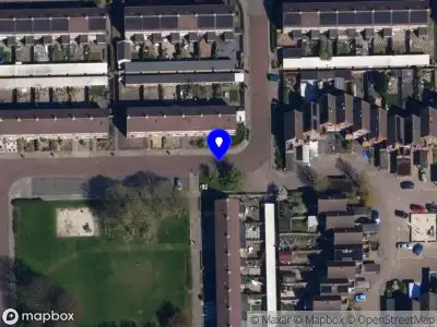 Nieuw bedrijf van der zwaan advies