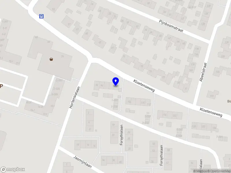 Anima Mundi Bushcraft