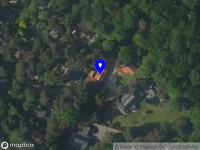 Jasmijn - Training & Coaching