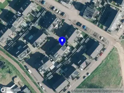 Dove Dynasty Capital Management B.V.