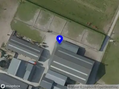 Stylish Dogs & Horses