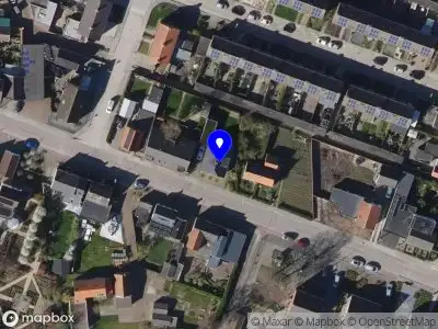 Het Geluksmoment Vogelwaarde