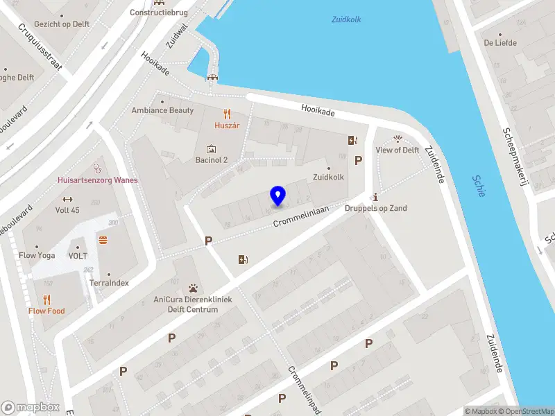 Stichting Delftse Waterloop Delft