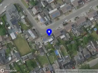 Freya's Felines Cattery Maine Coon