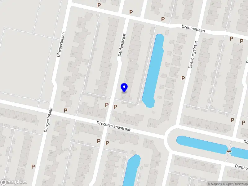 Laura van der Velden