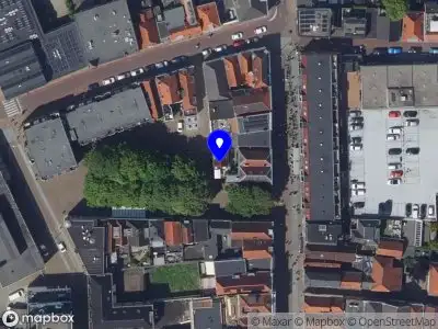 Nieuw bedrijf Maeve The Agency