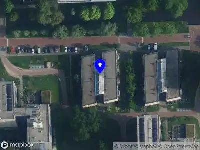 Morine Trading Company