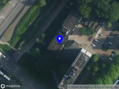 Rose Caress Amsterdam