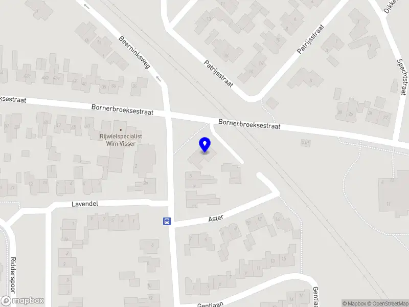 Nieuw bedrijf Thomas ecom