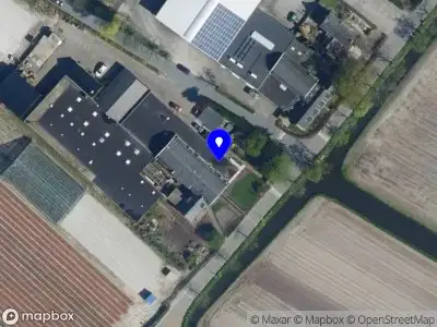 Chelsea 0511 Lisse