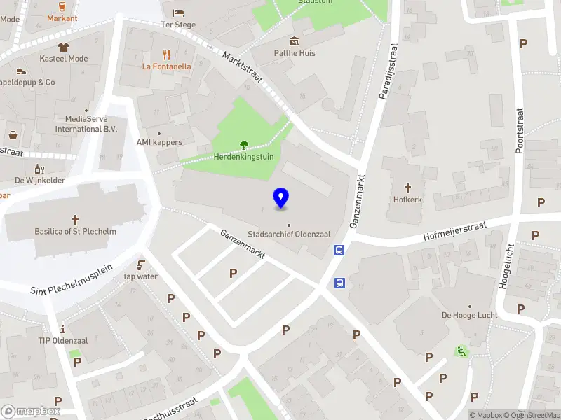 De Nederlandse Jeugdhanze