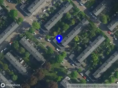 Fedoseieva.PMU&Tattoo