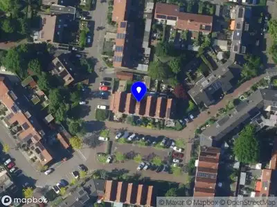 Nieuw bedrijf Groovy Dog Walks